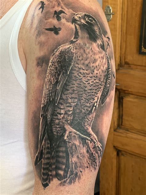 falcon tattoo